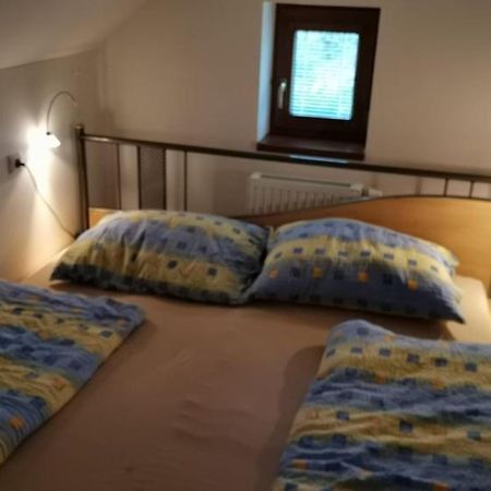 Ferienwohnung Apartman Damiko Chřibská Exterior foto