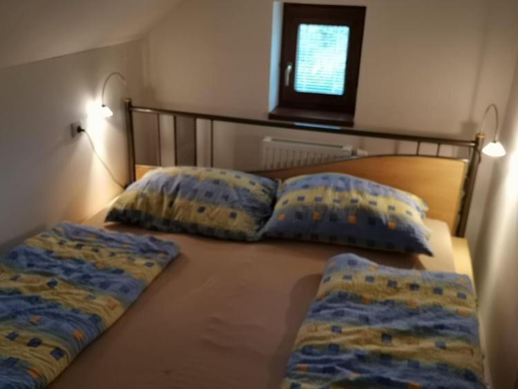 Ferienwohnung Apartman Damiko Chřibská Exterior foto