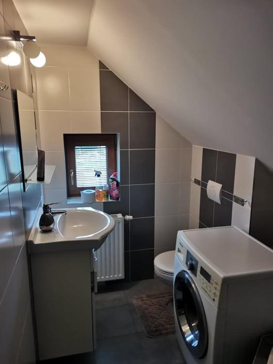 Ferienwohnung Apartman Damiko Chřibská Exterior foto