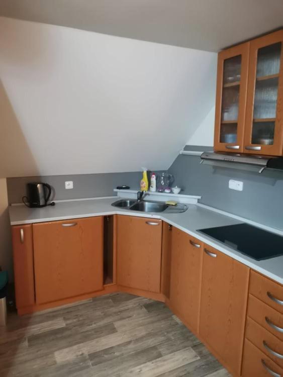 Ferienwohnung Apartman Damiko Chřibská Exterior foto