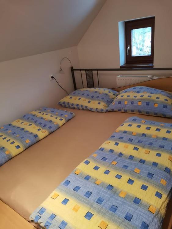 Ferienwohnung Apartman Damiko Chřibská Exterior foto