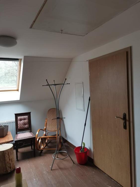 Ferienwohnung Apartman Damiko Chřibská Exterior foto